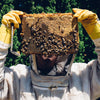 如何安装蜜蜂软件包