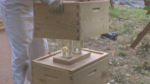 Adding a double jar feeder to a Langstroth Hive