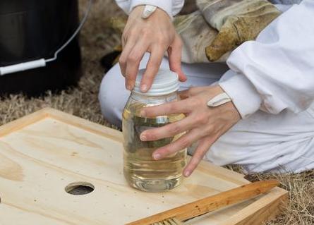 Putting a feeder on hive.