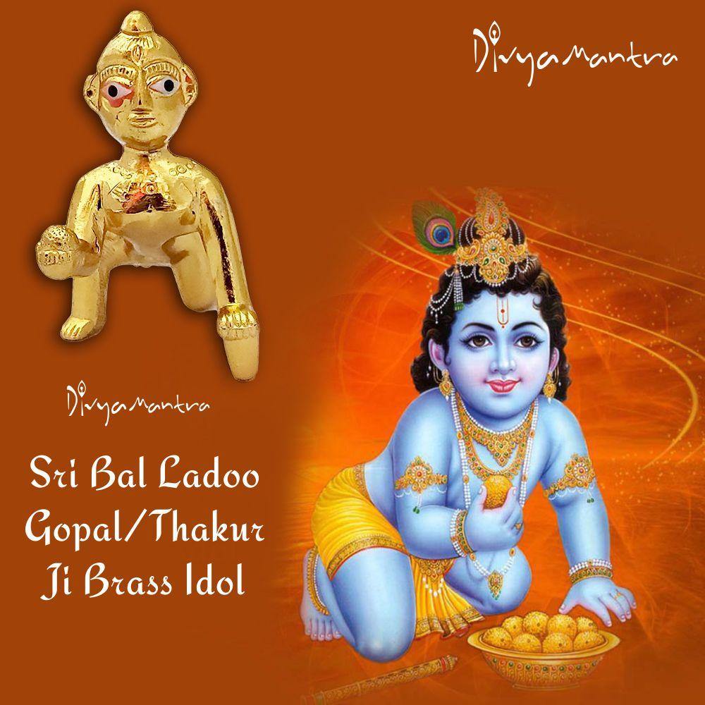 Laddu Ladoo Bal Gopal Hindu God Sri Krishna Thakur ji Brass Idol Sculp