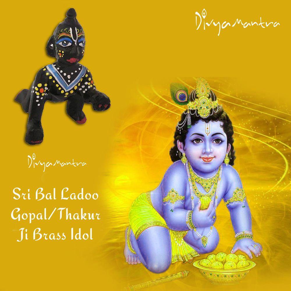 Laddu Ladoo Bal Gopal Hindu God Sri Krishna Thakur ji Brass Idol Sculp