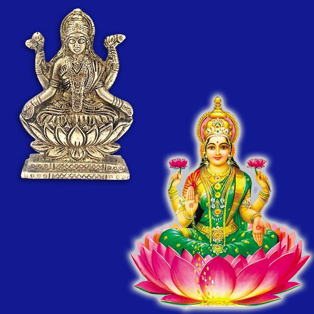 Sri Hindu Goddess Mata Laxmi Maa Idol Sculpture Statue Murti - Puja Ro