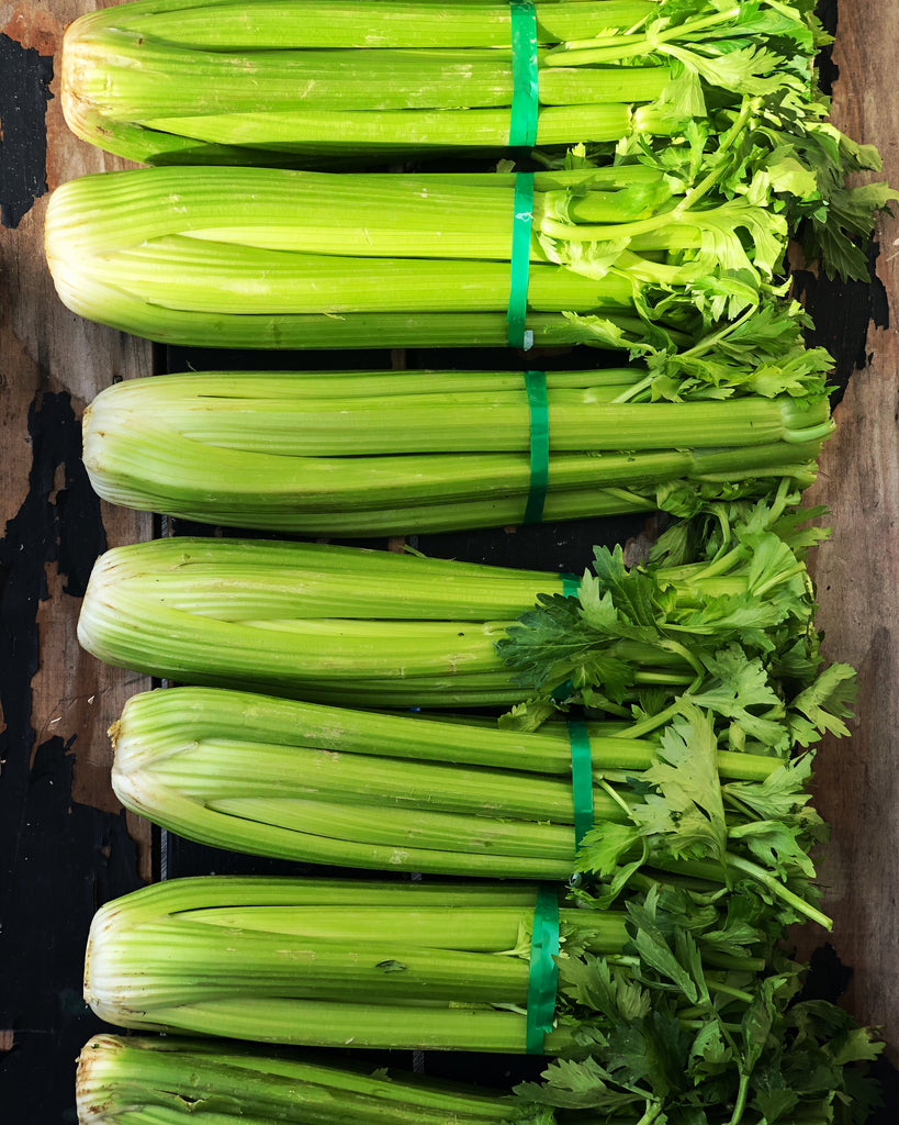 celery juice medical medium tanya maher