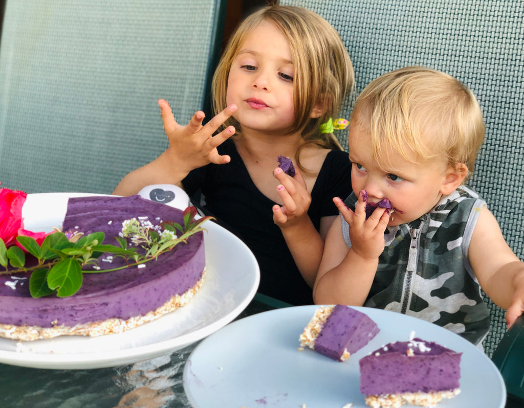 immune boosting recipes by tanya maher _ lake and banks maher _ raw blueberry cheesecake