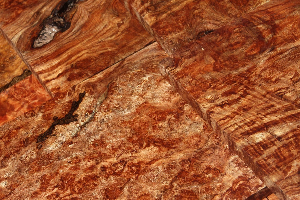 Maple Burl