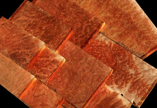 Red Mallee Burl