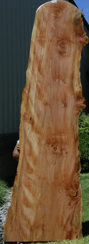 Figured Sitka Spruce Slab