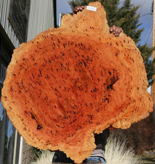 Red Mallee Resin Burl Round Slab