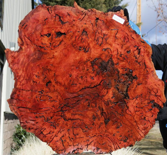 Red Mallee Resin Burl Round Slab