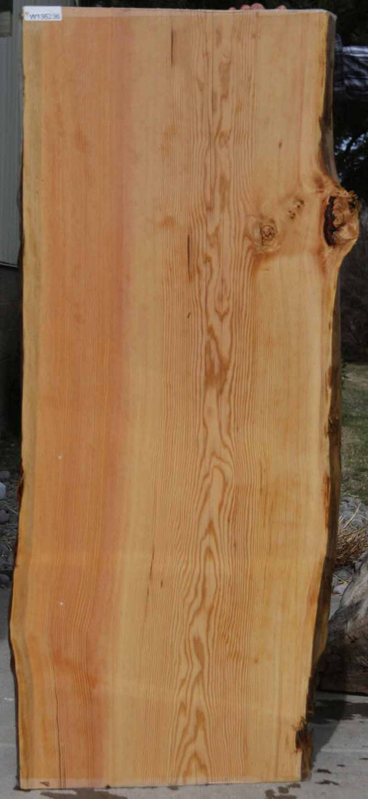 Douglas Fir Slab