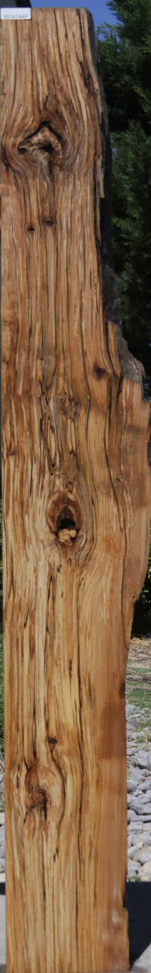 Rustic Spalted Alder Mantel