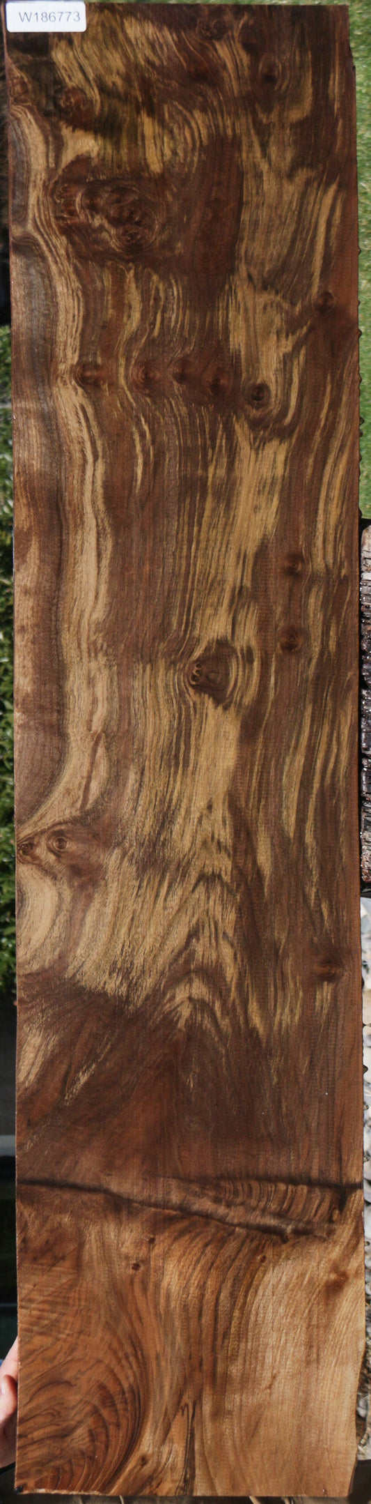 Extra Fancy Grafted Claro Walnut Lumber