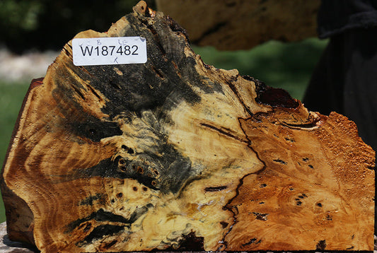 Rustic Buckeye Burl Live Edge Lumber