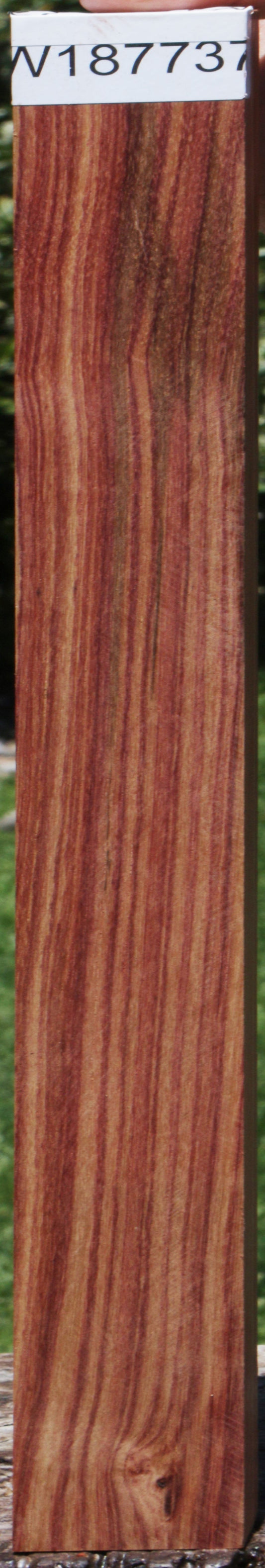 Tulipwood Lumber