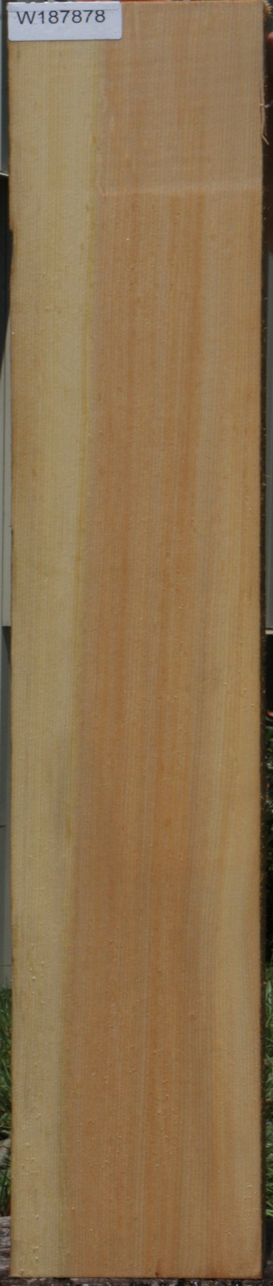 Sitka Spruce Instrument Lumber