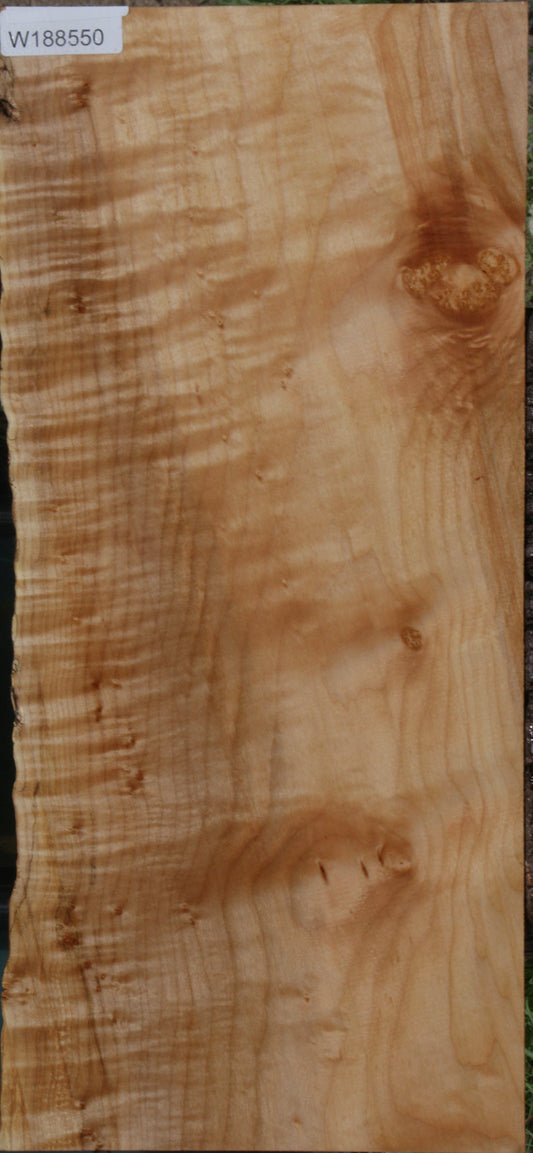 Extra Fancy Maple Live Edge Lumber