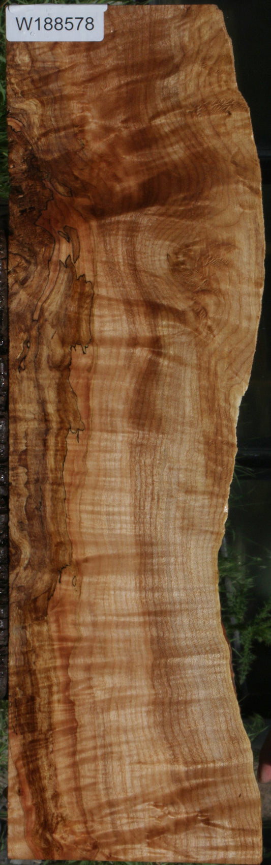 Spalted Maple Live Edge Lumber