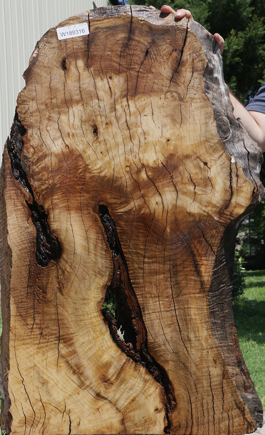 Rustic Myrtle Live Edge Mini Slab