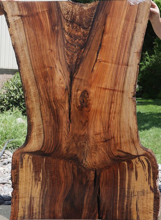 Grafted Crotchwood Claro Walnut Live Edge Slab (Free Shipping Excluded)