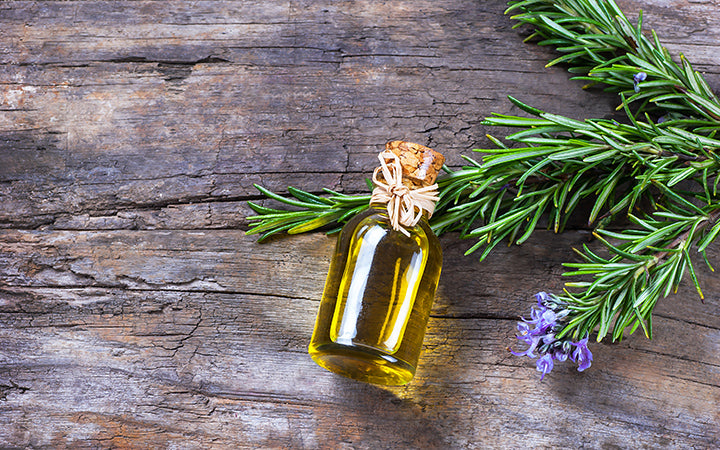 How To Use Rosemary Oil For Hair Growth? – SkinKraft