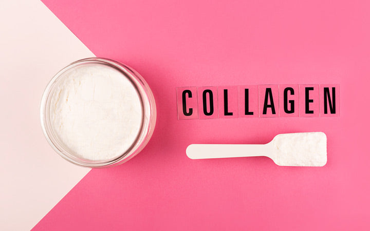 Collagen powder