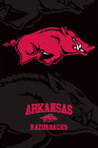 Arkansas Razorbacks Posters