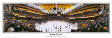 Hockey Arena Posters