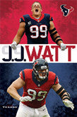 Houston Texans Posters