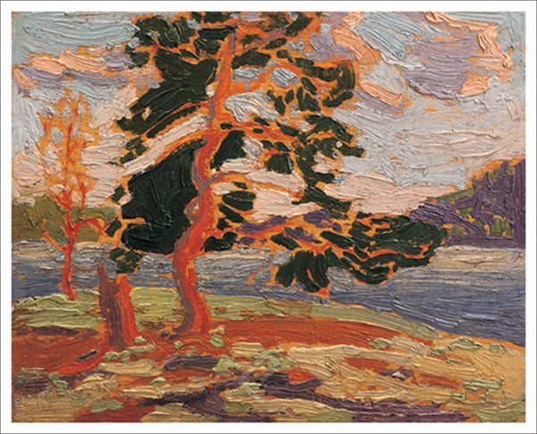 The Pine Tree Canadian Wilderness Art (1916) by Tom Thomson Group of Seven Poster Print - Eurographics