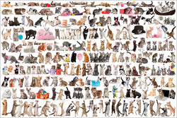 World of Cats Poster (200 Fuzzy Felines!) - Eurographics