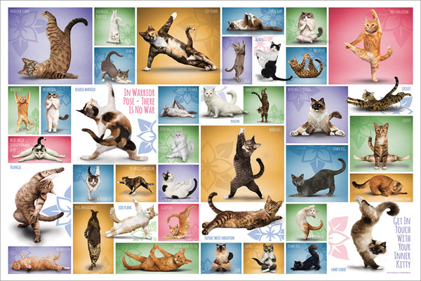 Yoga Cats "39 Poses" Fitness Felines Poster - Eurographics