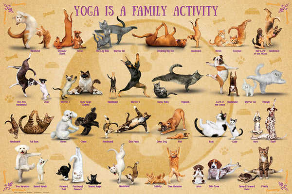Yoga Dogs and Cats "Yoga is a Family Activity" Fitness Poster - Eurographics