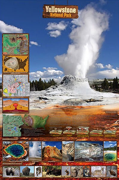 Yellowstone National Park Educational Wall Chart Poster - Eurographics