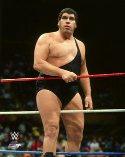 Andre The Giant WWE Wrestling Classic Ring Action (c.1987) Premium Poster Print - Photofile