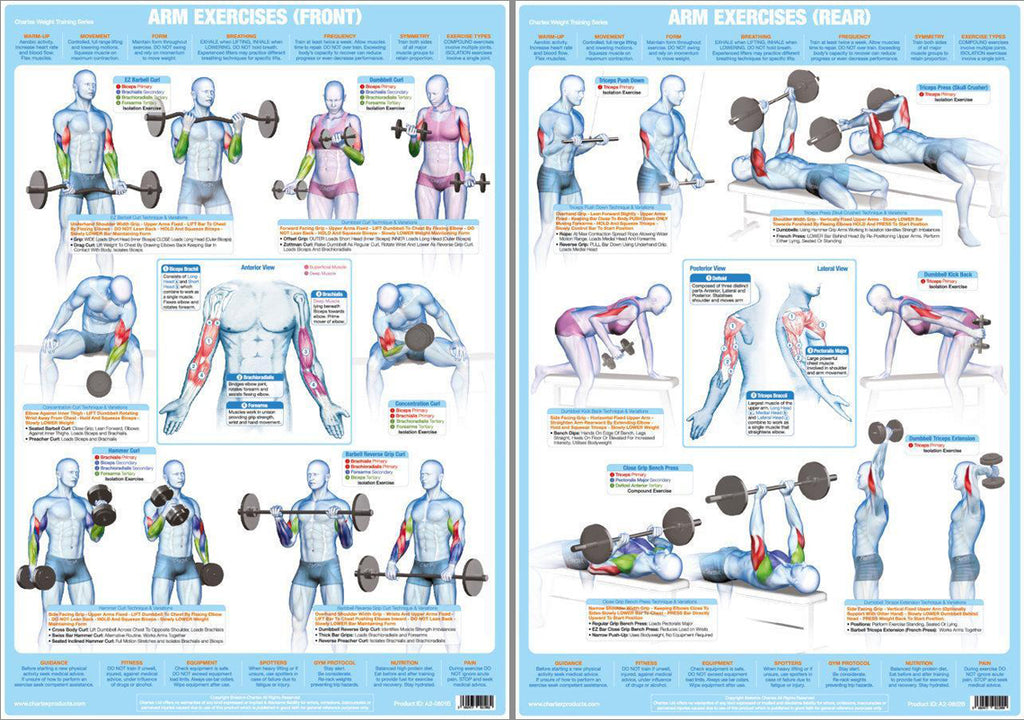 Arm Exercises (Rear) Weight Training Fitness Instructional Wall Chart  Poster Chartex Products