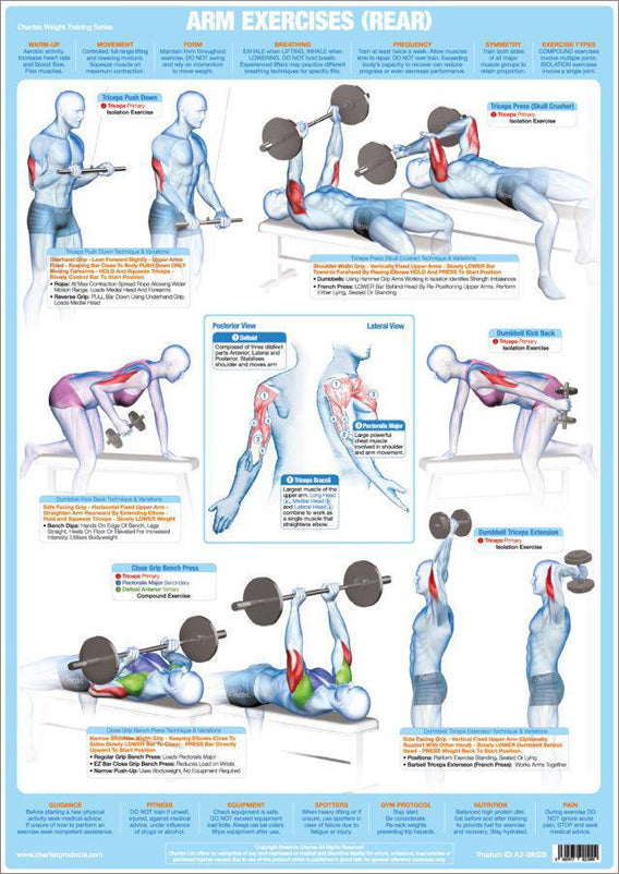 Arm Exercises (Rear) Weight Training Fitness Instructional Wall Chart  Poster Chartex Products