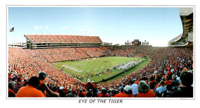 Auburn Football "Eye of the Tiger" - Sports Photos2004