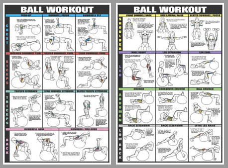 Swiss Ball Workout 2-Poster Professional Fitness Wall Chart Combo - Fitnus Posters