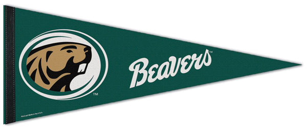 Bemidji State University Beavers Official NCAA Team Premium Felt Pennant - Wincraft