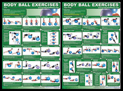 Body Ball Exercises Professional Fitness Wall Charts 2-Poster Combo - Productive Fitness