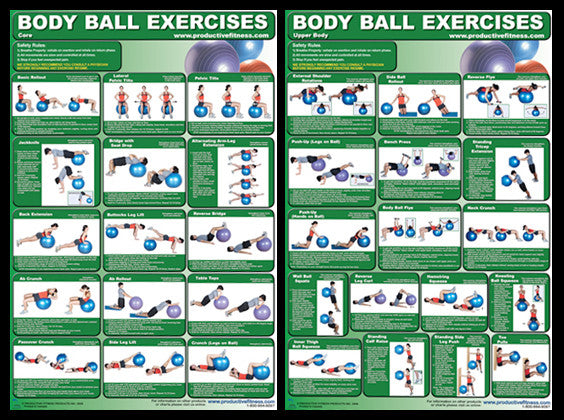 Body Ball Exercises Professional Fitness Wall Charts 2-Poster Combo - Productive Fitness