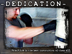Boxing "Dedication" Motivational Inspirational Poster - Jaguar