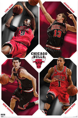 Chicago Bulls "Four Stars" - Costacos 2009/10