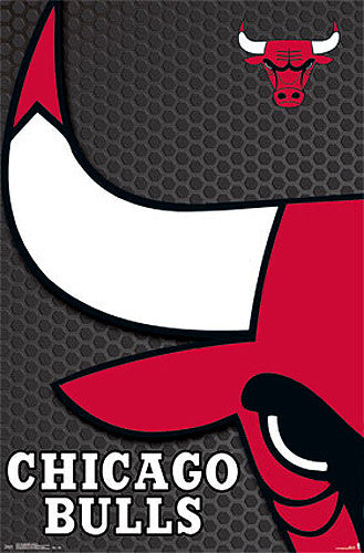 Chicago Bulls Official NBA Basketball Team Logo Poster - Costacos Sports