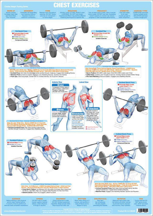 Arm Exercises (Rear) Weight Training Fitness Instructional Wall Chart  Poster Chartex Products