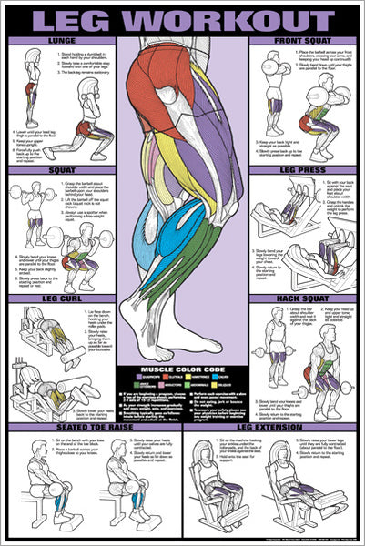 Leg Workout Professional Fitness Gym Instructional Wall Chart Poster (Co-Ed) - Fitnus Corp.