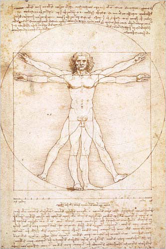 Vitruvian Man (c.1490) by Leonardo Da Vinci Poster Print - Eurographics