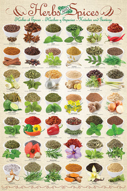 The Herbs and Spices Poster (42 Cooking Ingredients) - Eurographics