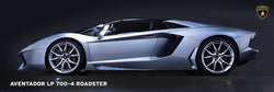 Lamborghini Aventador LP 700-4 Roadster Autophile Profile Sports Car Poster - Eurographics