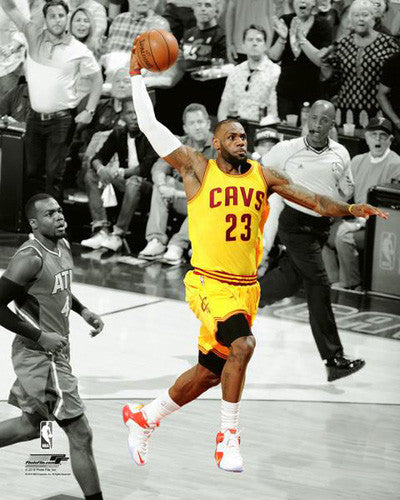 LeBron James "Flight 23" (2016) Cleveland Cavaliers Premium Poster Print - Photofile 16x20